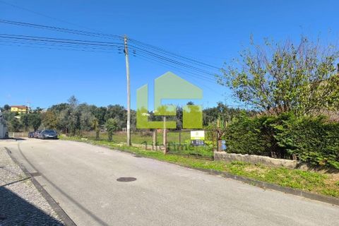 Helårsgrund i Lousa, Coimbra, Lousa - € 83.000 | Ref: LT1304 - foto 23
