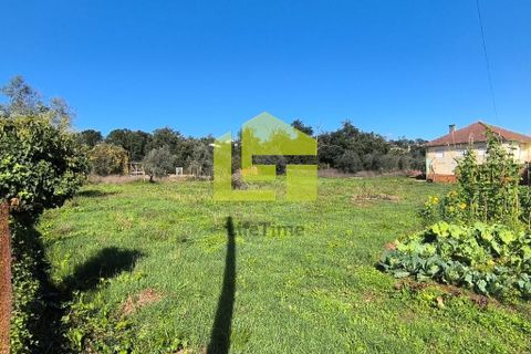 Helårsgrund i Lousa, Coimbra, Lousa - € 83.000 | Ref: LT1304 - foto 25