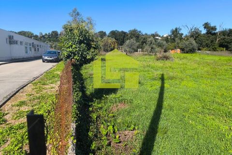 Helårsgrund i Lousa, Coimbra, Lousa - € 83.000 | Ref: LT1304 - foto 26