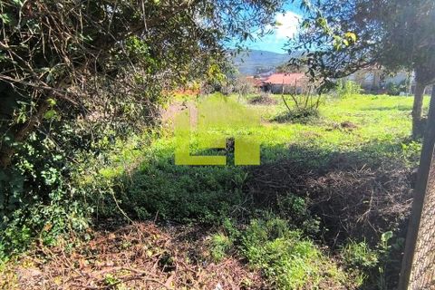 Helårsgrund i Lousa, Coimbra, Lousa - € 83.000 | Ref: LT1304 - foto 28
