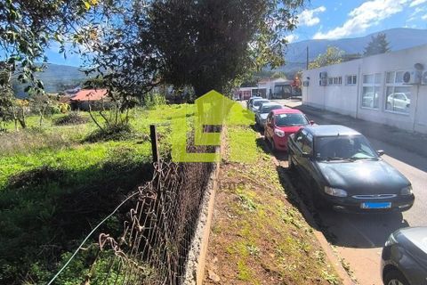 Helårsgrund i Lousa, Coimbra, Lousa - € 83.000 | Ref: LT1304 - foto 29