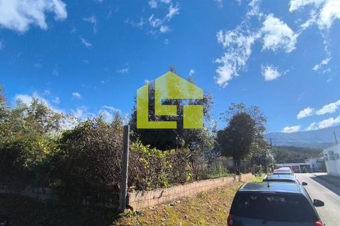 Helårsgrund i Lousa, Coimbra, Lousa - € 83.000 | Ref: LT1304 - foto 31