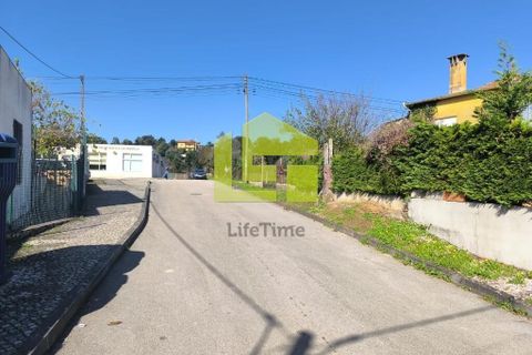 Helårsgrund i Lousa, Coimbra, Lousa - € 83.000 | Ref: LT1304 - foto 32