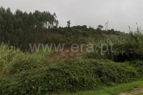 Helårsgrund i Torres Vedras, Lisbon, Torres Vedras - € 22.000 | Ref: 295240134 - foto 1