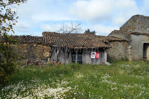 Erhvervsejendom i Proenca-a-Nova, Castelo Branco, Proenca-a-Nova - € 36.500 | Ref: 102200097 - foto 2