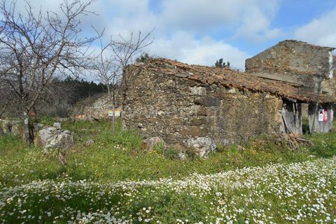 Erhvervsejendom i Proenca-a-Nova, Castelo Branco, Proenca-a-Nova - € 36.500 | Ref: 102200097 - foto 3
