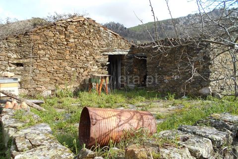 Erhvervsejendom i Proenca-a-Nova, Castelo Branco, Proenca-a-Nova - € 36.500 | Ref: 102200097 - foto 4