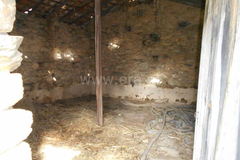 Erhvervsejendom i Proenca-a-Nova, Castelo Branco, Proenca-a-Nova - € 36.500 | Ref: 102200097 - foto 5