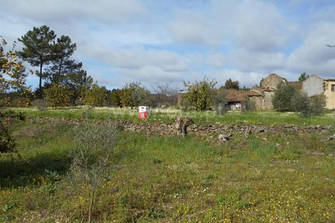 Erhvervsejendom i Proenca-a-Nova, Castelo Branco, Proenca-a-Nova - € 36.500 | Ref: 102200097 - foto 8