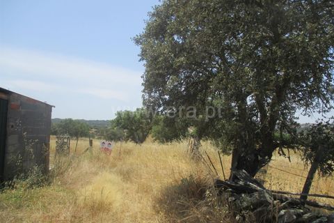 Tomt i Nisa, Portalegre, Nisa - € 14 000 | Ref: 102210161 - foto 2