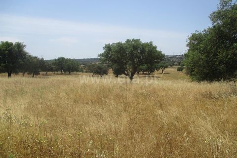 Tomt i Nisa, Portalegre, Nisa - € 14 000 | Ref: 102210161 - foto 3