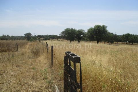 Tomt i Nisa, Portalegre, Nisa - € 14 000 | Ref: 102210161 - foto 4