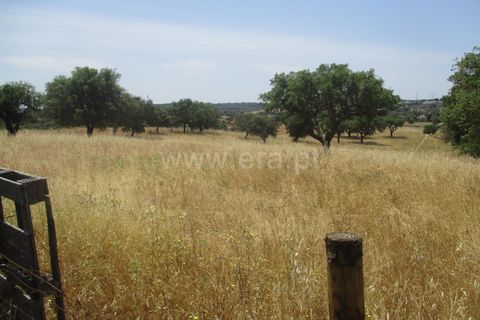 Tomt i Nisa, Portalegre, Nisa - € 14 000 | Ref: 102210161 - foto 5