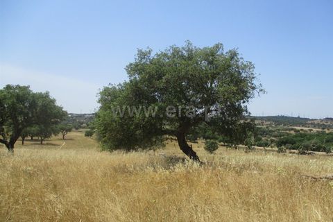Tomt i Nisa, Portalegre, Nisa - € 14 000 | Ref: 102210161 - foto 7