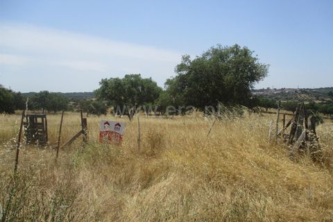 Tomt i Nisa, Portalegre, Nisa - € 14 000 | Ref: 102210161 - foto 8