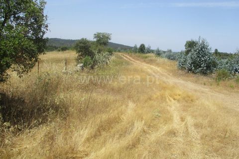 Tomt i Nisa, Portalegre, Nisa - € 14 000 | Ref: 102210161 - foto 9
