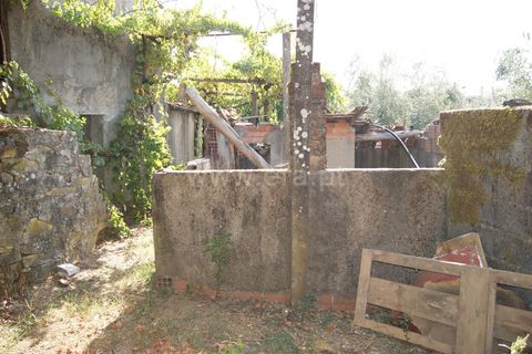 Villa a Proenca-a-Nova, Castelo Branco, Proenca-a-Nova - € 37.500 | Ref: 102210295 - foto 2