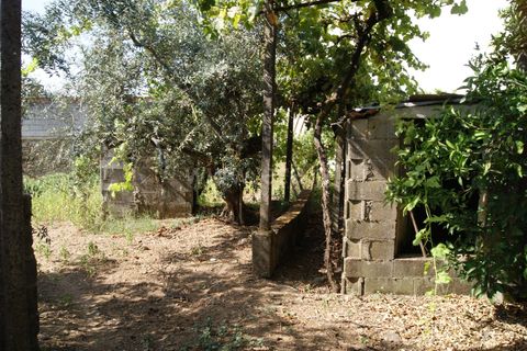 Villa a Proenca-a-Nova, Castelo Branco, Proenca-a-Nova - € 37.500 | Ref: 102210295 - foto 4