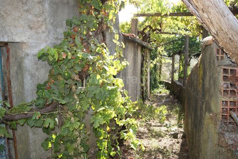 Villa a Proenca-a-Nova, Castelo Branco, Proenca-a-Nova - € 37.500 | Ref: 102210295 - foto 5