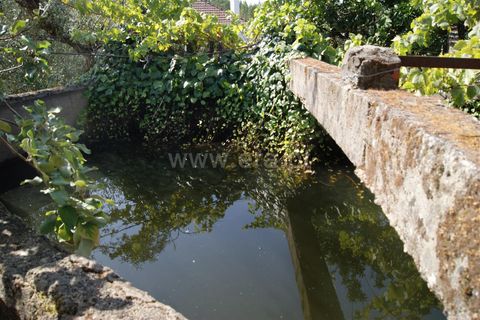 Villa a Proenca-a-Nova, Castelo Branco, Proenca-a-Nova - € 37.500 | Ref: 102210295 - foto 15