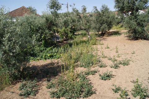 Villa a Proenca-a-Nova, Castelo Branco, Proenca-a-Nova - € 37.500 | Ref: 102210295 - foto 17
