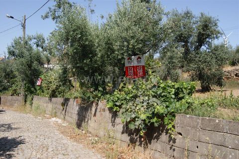 Villa a Proenca-a-Nova, Castelo Branco, Proenca-a-Nova - € 37.500 | Ref: 102210295 - foto 18