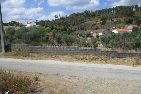 Terra a Proenca-a-Nova, Castelo Branco, Proenca-a-Nova - € 16.500 | Ref: 102230062 - foto 2