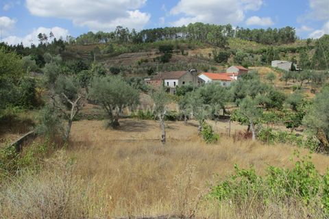 Terra a Proenca-a-Nova, Castelo Branco, Proenca-a-Nova - € 16.500 | Ref: 102230062 - foto 4