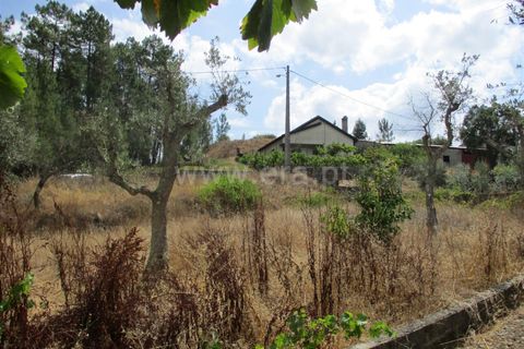 Terra a Proenca-a-Nova, Castelo Branco, Proenca-a-Nova - € 16.500 | Ref: 102230062 - foto 8
