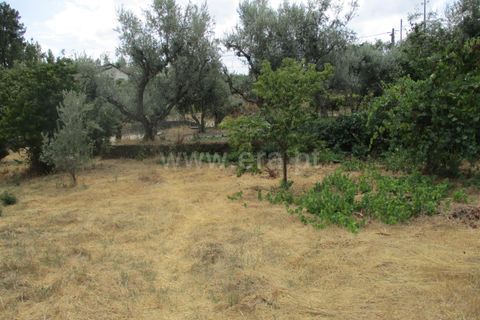 Terra a Proenca-a-Nova, Castelo Branco, Proenca-a-Nova - € 16.500 | Ref: 102230062 - foto 9