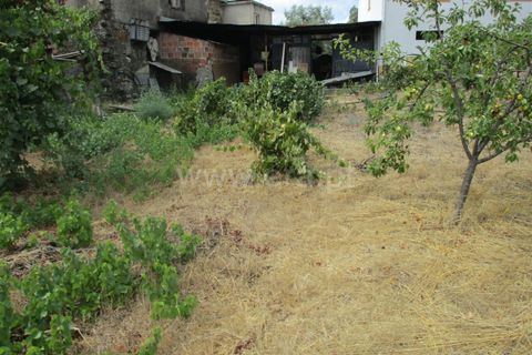 Terra a Proenca-a-Nova, Castelo Branco, Proenca-a-Nova - € 16.500 | Ref: 102230062 - foto 10
