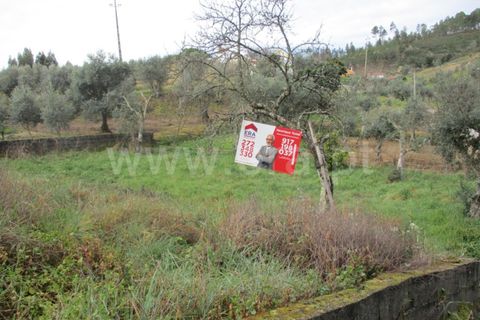Terra a Proenca-a-Nova, Castelo Branco, Proenca-a-Nova - € 16.500 | Ref: 102230062 - foto 11