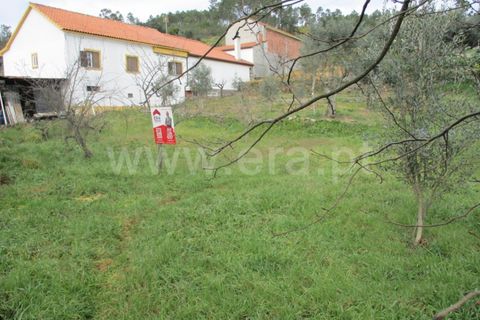 Terra a Proenca-a-Nova, Castelo Branco, Proenca-a-Nova - € 16.500 | Ref: 102230062 - foto 13