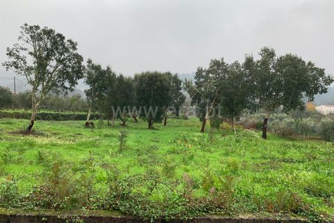Helårsgrund i Serta, Castelo Branco, Serta - € 27.000 | Ref: 102230361 - foto 2
