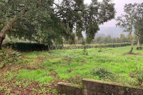 Helårsgrund i Serta, Castelo Branco, Serta - € 27.000 | Ref: 102230361 - foto 3