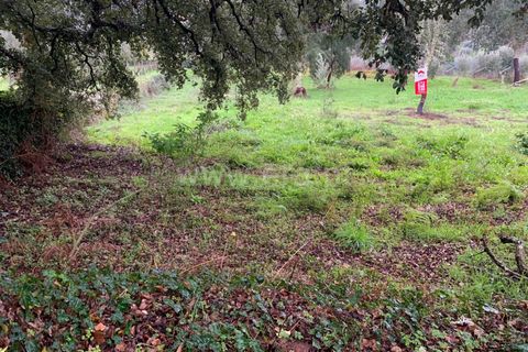 Helårsgrund i Serta, Castelo Branco, Serta - € 27.000 | Ref: 102230361 - foto 4