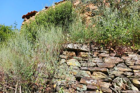Tomt i Proenca-a-Nova, Castelo Branco, Proenca-a-Nova - € 37 500 | Ref: 102240088 - foto 7