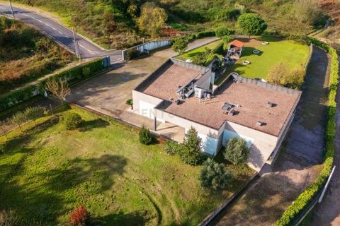 Villa i Trofa, Porto, Trofa - € 1.310.000 | Ref: C0487-00025 - foto 42