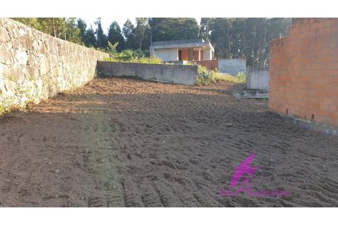Terra a Areosa, Viana do Castelo, Areosa - € 500.000 | Ref: 34/2024 - foto 28