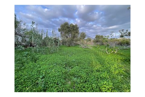 Byhus i Moncarapacho, Faro, Moncarapacho - € 270.000 | Ref: HAB554 - foto 3