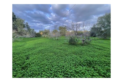 Byhus i Moncarapacho, Faro, Moncarapacho - € 270.000 | Ref: HAB554 - foto 4