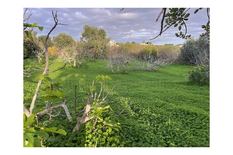 Byhus i Moncarapacho, Faro, Moncarapacho - € 270.000 | Ref: HAB554 - foto 20