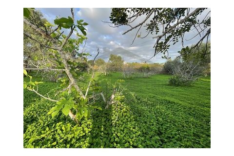 Byhus i Moncarapacho, Faro, Moncarapacho - € 270.000 | Ref: HAB554 - foto 21