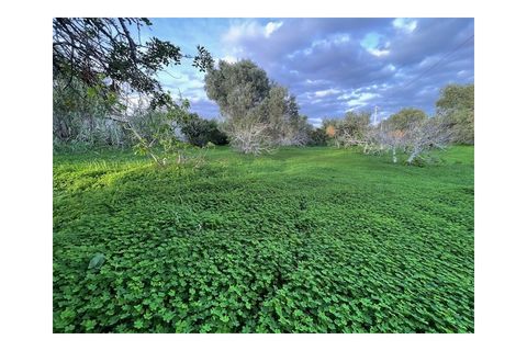 Byhus i Moncarapacho, Faro, Moncarapacho - € 270.000 | Ref: HAB554 - foto 22