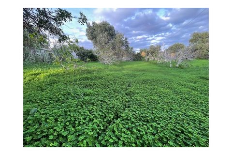 Byhus i Moncarapacho, Faro, Moncarapacho - € 270.000 | Ref: HAB554 - foto 23