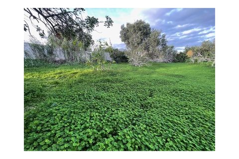 Byhus i Moncarapacho, Faro, Moncarapacho - € 270.000 | Ref: HAB554 - foto 24