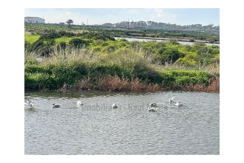 Byhus i Moncarapacho, Faro, Moncarapacho - € 270.000 | Ref: HAB554 - foto 30