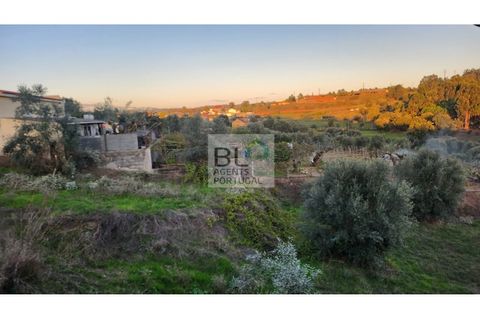 Villa i Tomar, Santarem, Tomar - € 524.700 | Ref: XAL_330 - foto 2