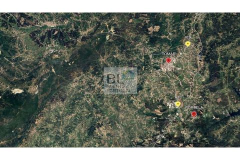 Villa i Tomar, Santarem, Tomar - € 524.700 | Ref: XAL_330 - foto 17