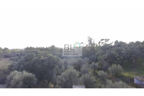 Villa i Tomar, Santarem, Tomar - € 477.000 | Ref: CAS_329 - foto 3
